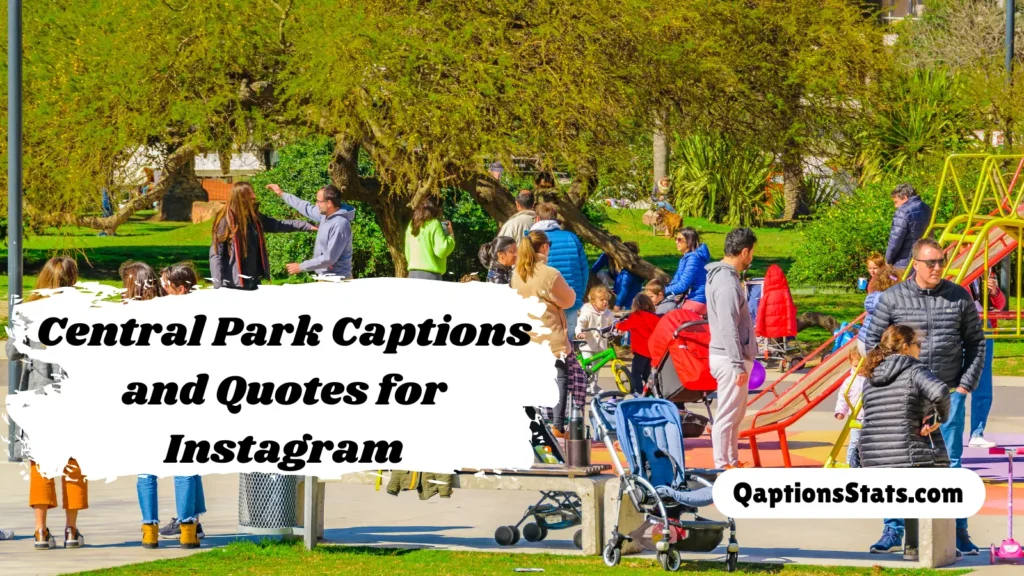 Park Captions