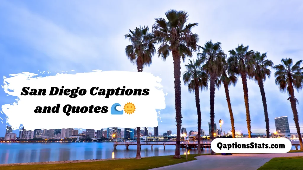 san-diego-captions-and-quotes