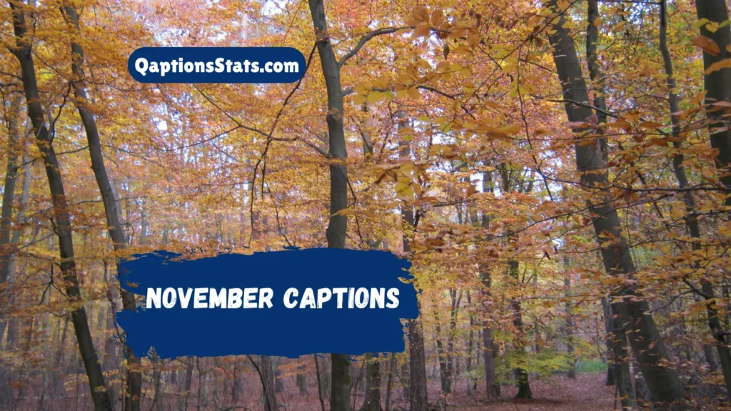 november-captions