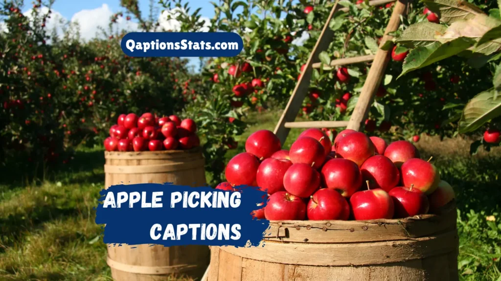 apple-picking-captions