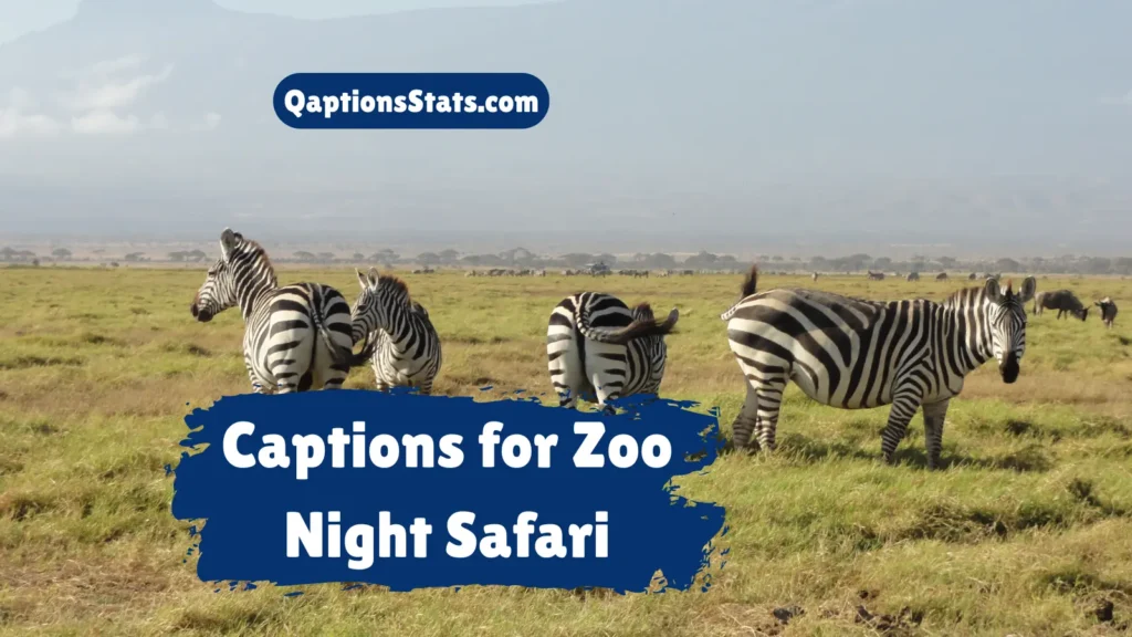 captions-for-zoo-night-safari