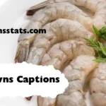 prawns-captions