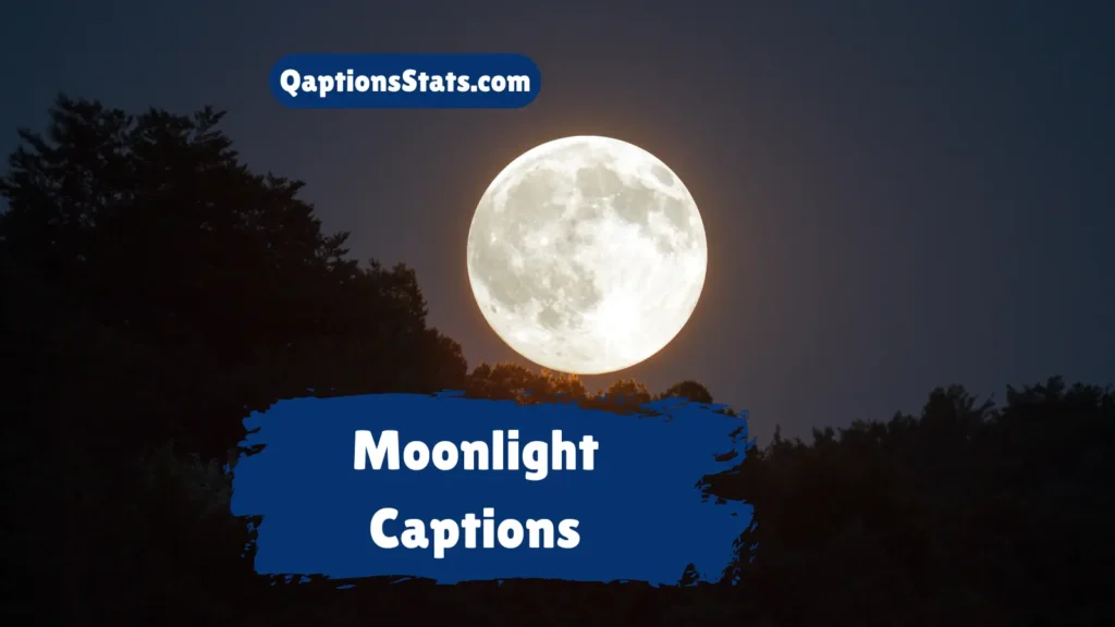 Moonlight Captions
