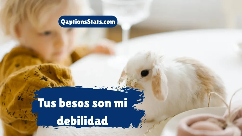 bad-bunny-instagram-captions-for-love-and-romance