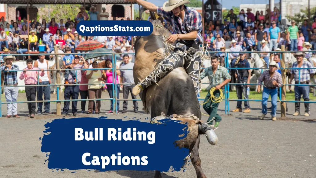 bull-riding-captions