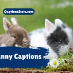 bunny-captions