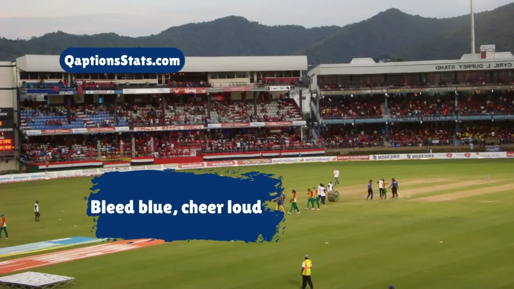 captions-for-cricket-fans