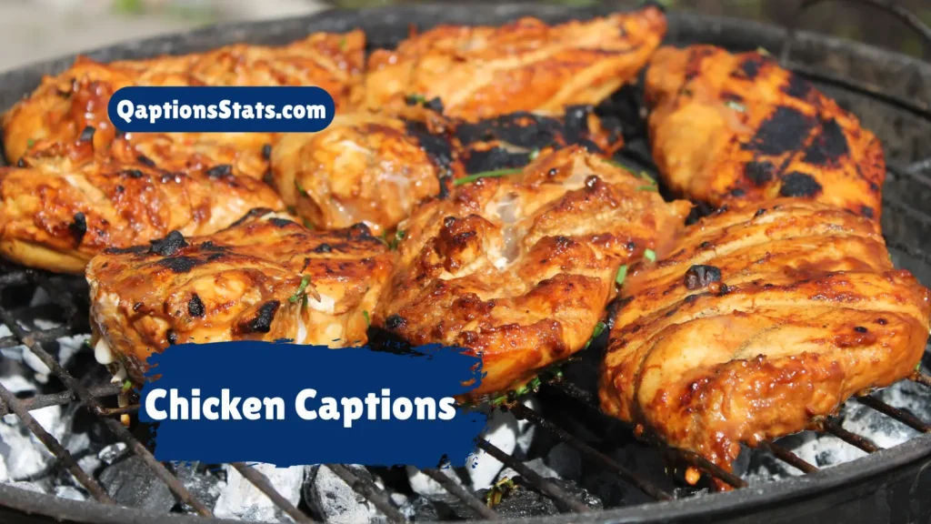 chicken-captions