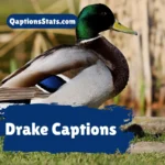 drake-captions