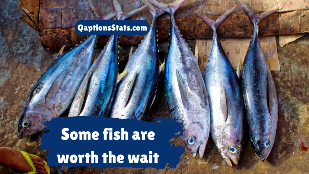 epic-fishing-captions-for-competitive-anglers