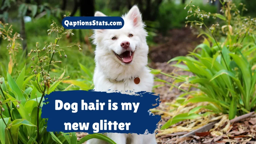 funny-national-dog-day-captions
