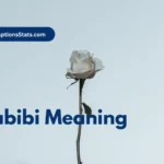 habibi-meaning