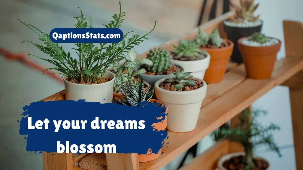 inspirational-plant-quotes-to-motivate-you
