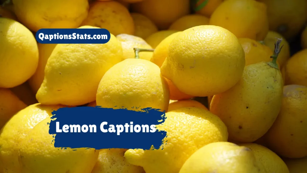 lemon-captions