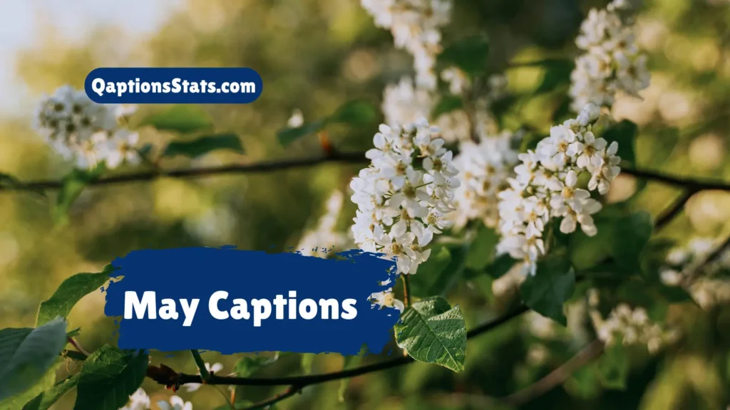 may-captions