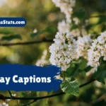 may-captions