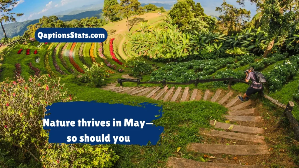 may-nature-quotes-and-captions