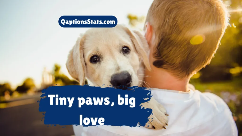 national-dog-day-captions-for-puppy-lovers