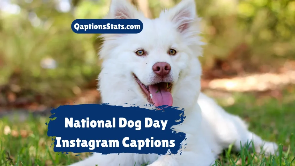 national-dog-day-instagram-captions