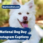 national-dog-day-instagram-captions