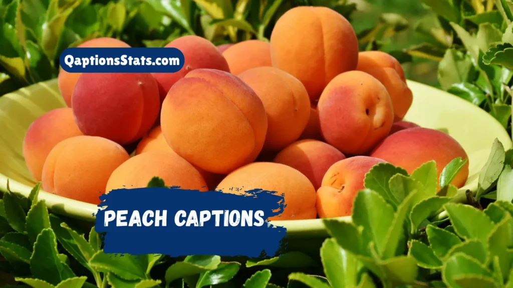 peach-captions