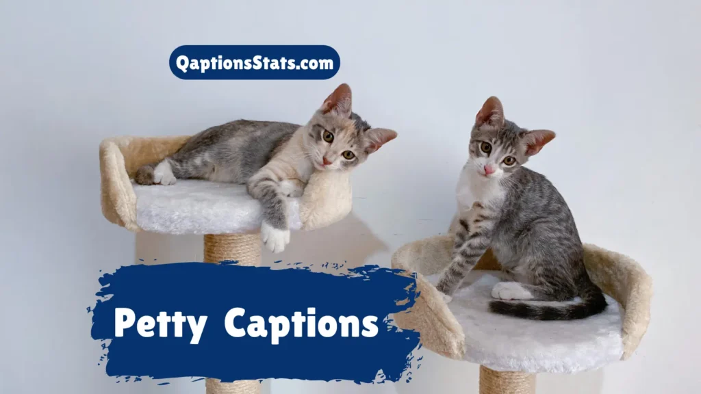 petty-captions