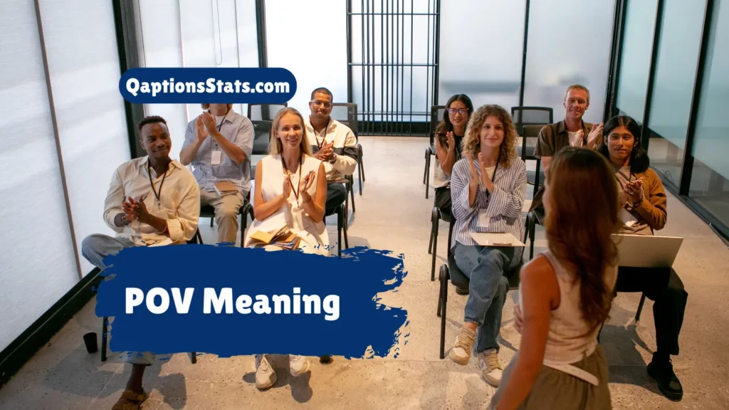 pov-meaning