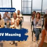 pov-meaning