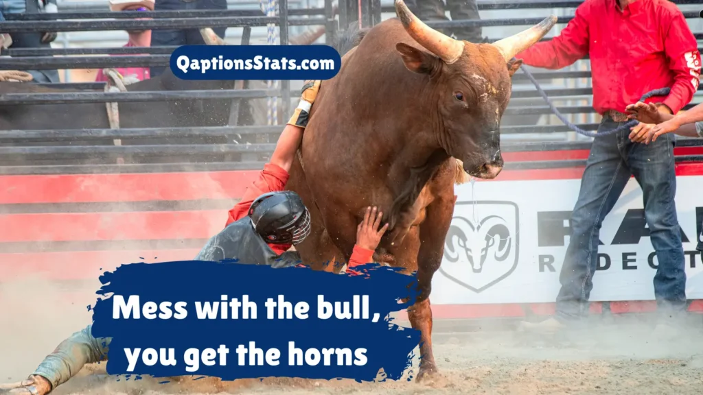 rodeo-cowboy-captions