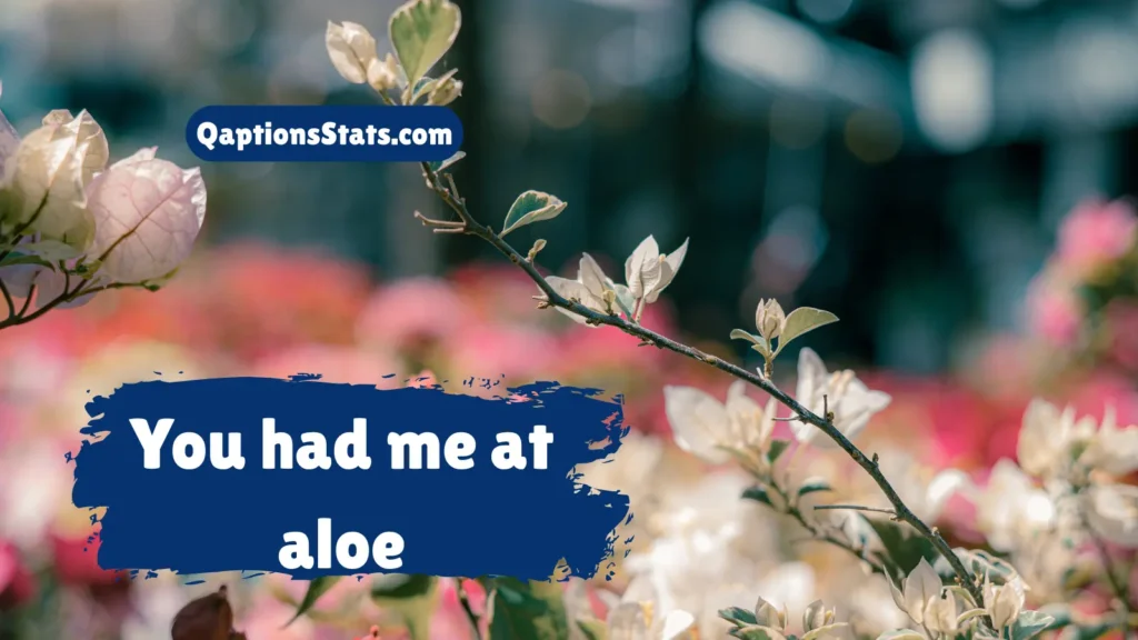 romantic-plant-quotes-for-lovebirds