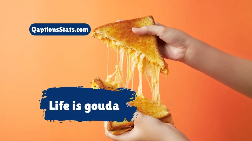short-and-sweet-cheese-captions