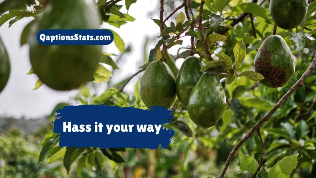 short-avocado-captions
