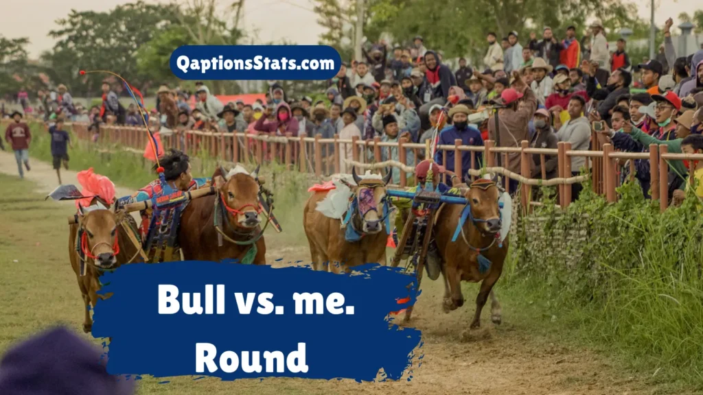 short-bull-riding-captions-for-quick-impact