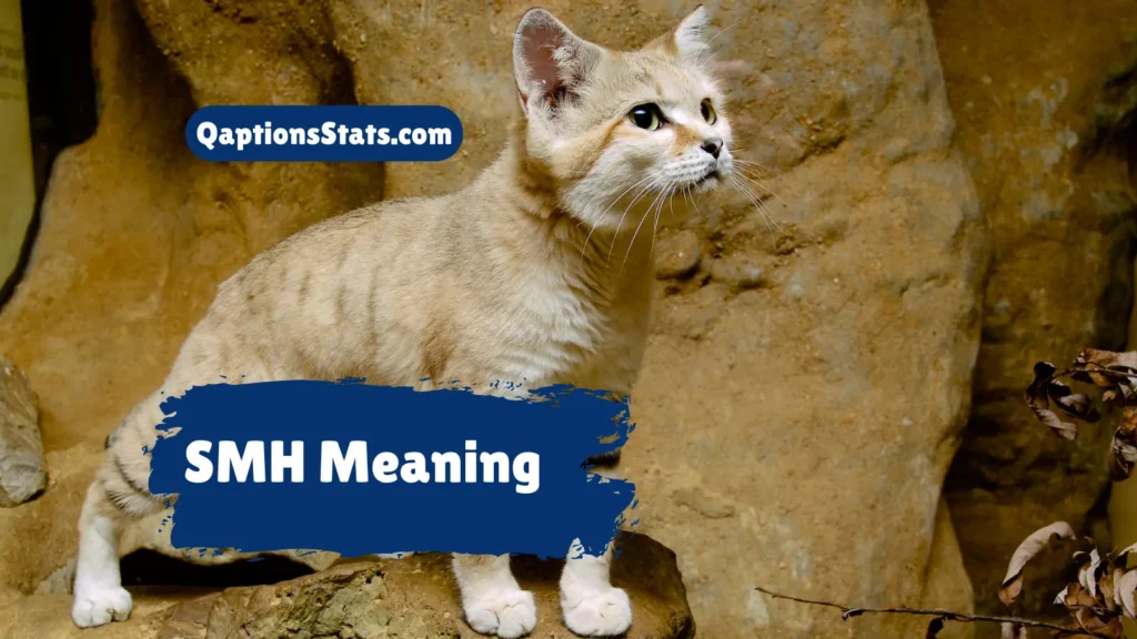 smh-meaning