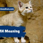 smh-meaning
