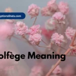 solfege-meaning