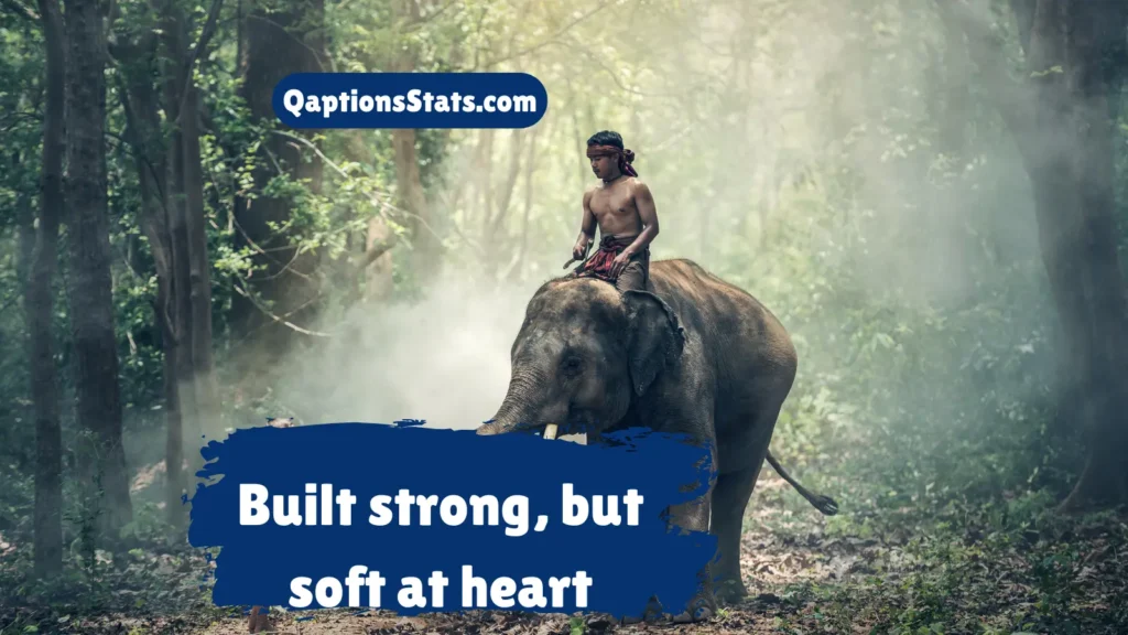 strong-and-powerful-elephant-captions