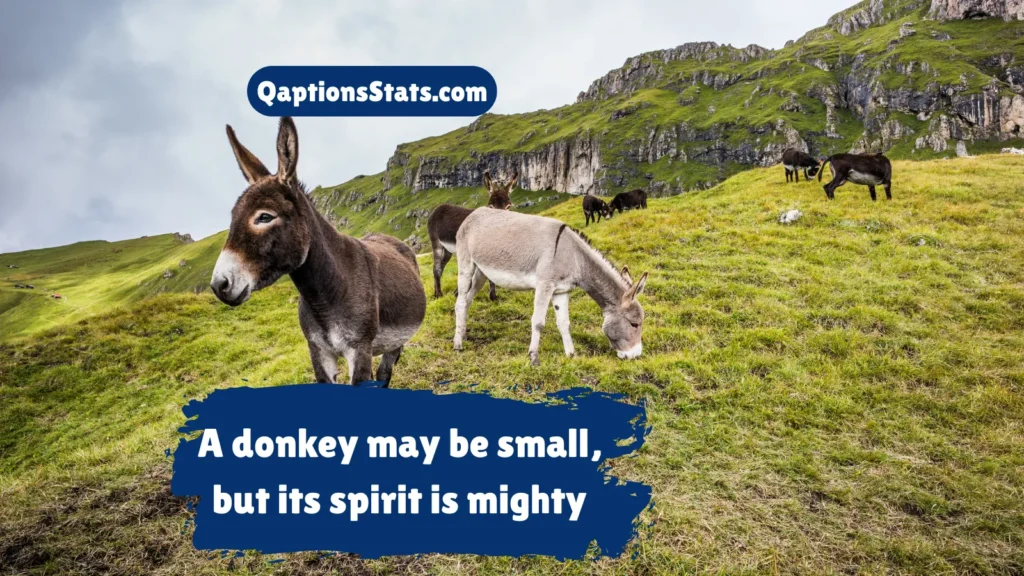 strong-and-resilient-donkey-quotes
