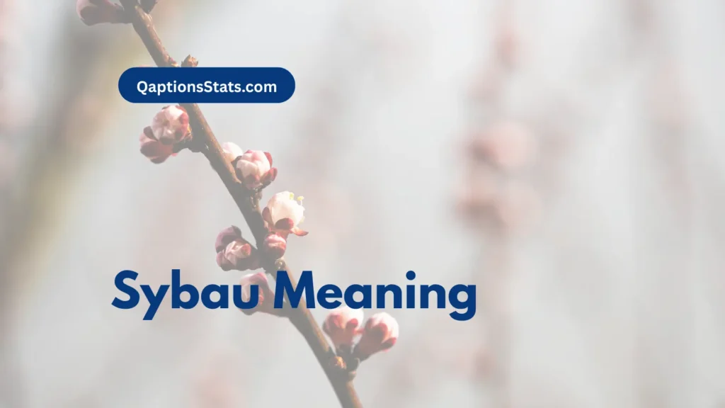 sybau-meaning
