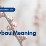 sybau-meaning
