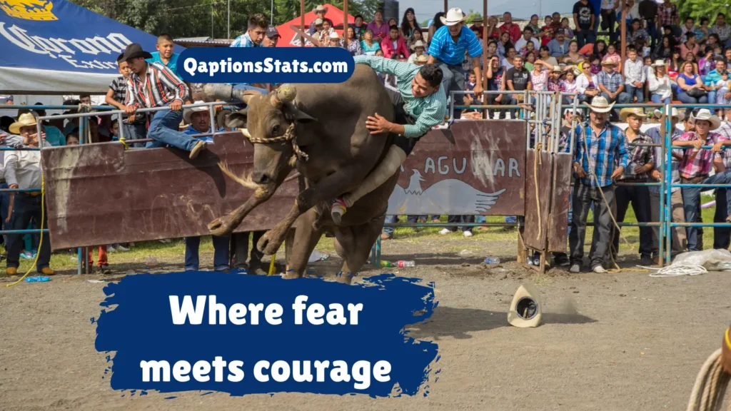 top-bull-riding-instagram-captions-for-adrenaline-junkies