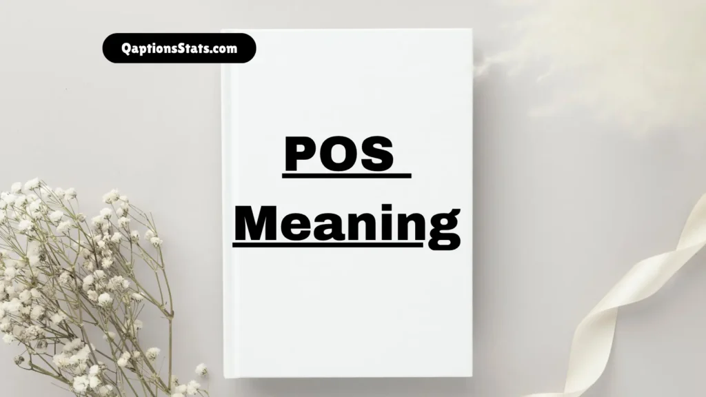 POS Meaning