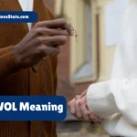 awol-meaning