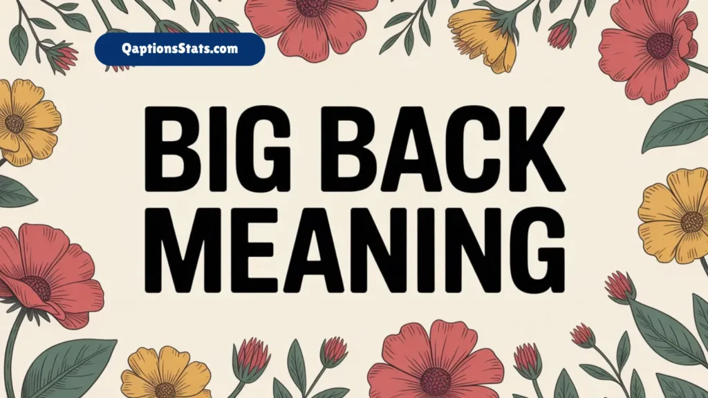 big-back-meaning