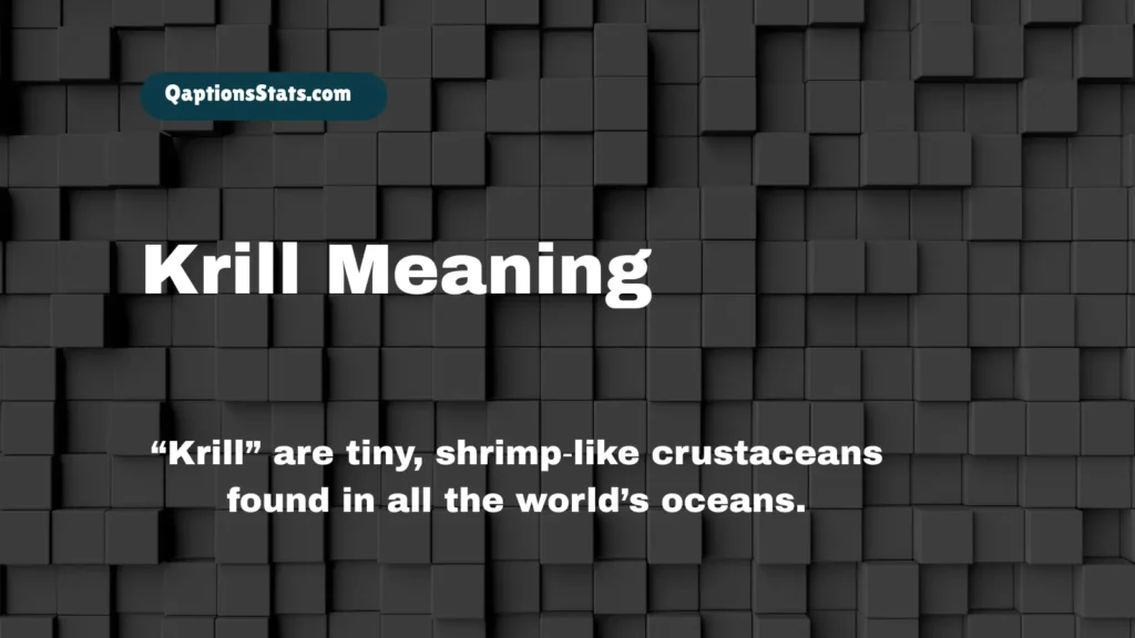 krill-meaning
