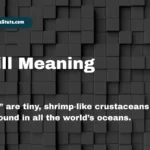 krill-meaning
