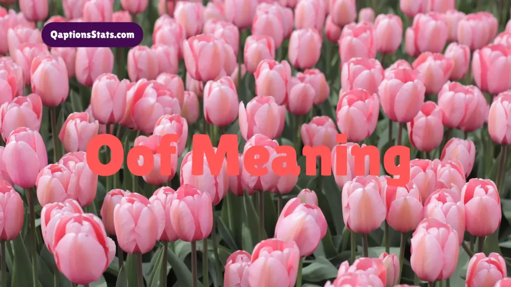 oof-meaning
