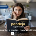 pendeja-meaning-in-english