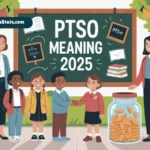ptso-meaning