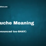 touche-meaning